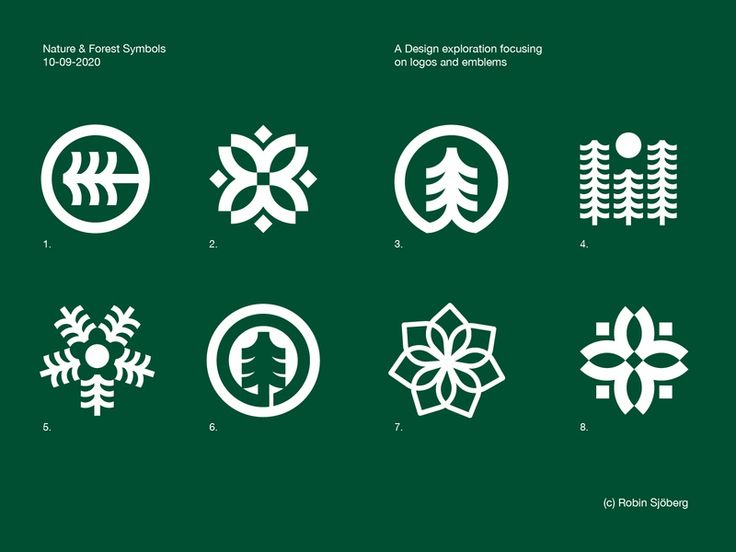 the different types of snowflakes are shown in white on green background, with text below