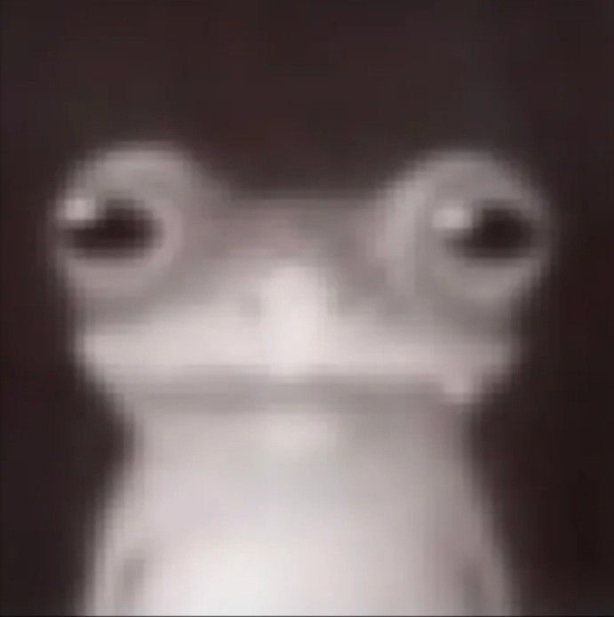 a blurry photo of a frog's face with two eyes and one nose