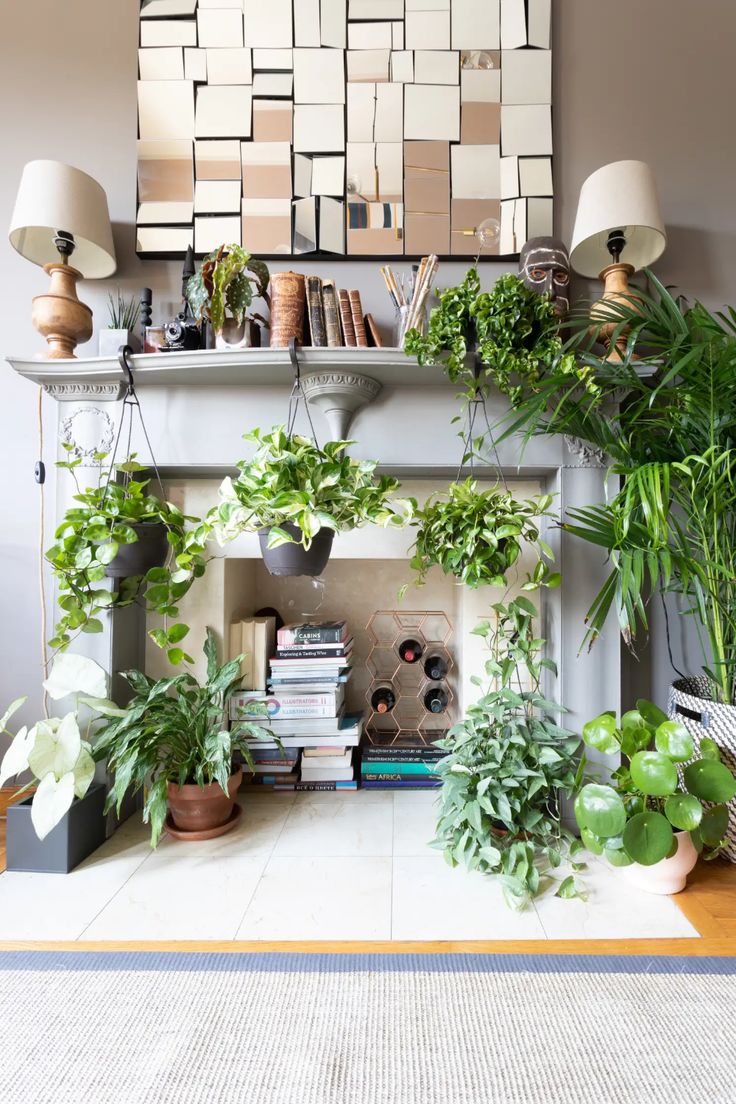 a living room filled with lots of different types of potted plants on top of a fireplace