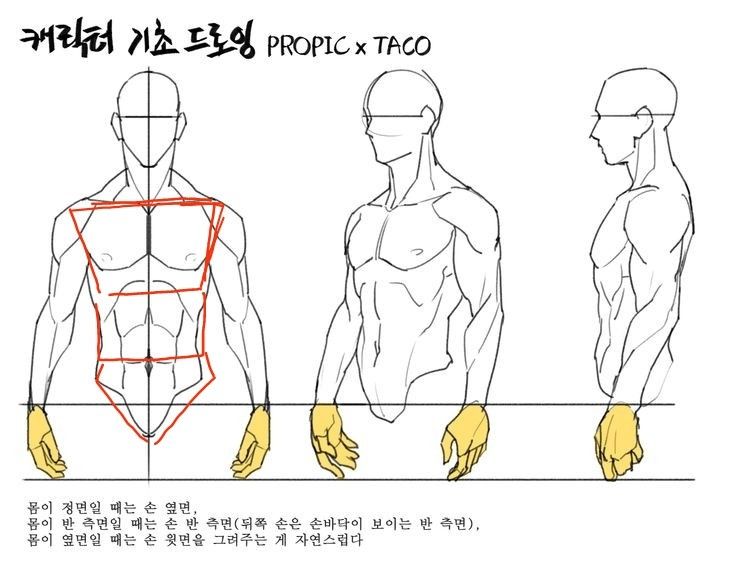 an image of a man's torso and arms in three different positions, with the text