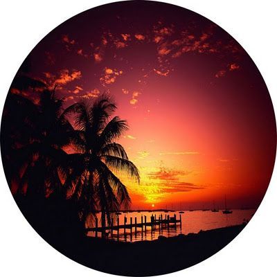 the sun is setting over the water and palm trees are silhouetted against an orange sky