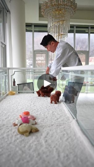 a man standing on top of a bed next to stuffed animals