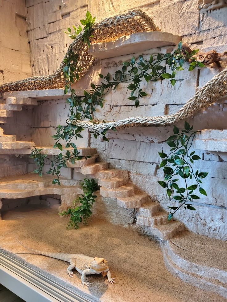 a lizard is laying on the ground in front of a stone wall and some plants