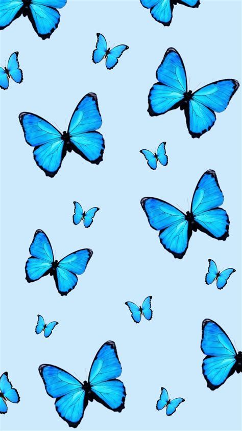 many blue butterflies flying in the sky