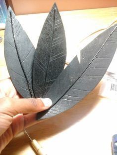 a person is holding a piece of black paper with two leaves on it, and the other hand is pointing at it