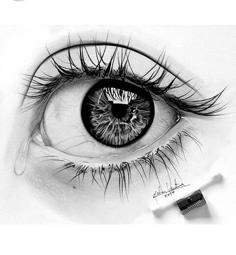 a pencil drawing of an eye with long lashes