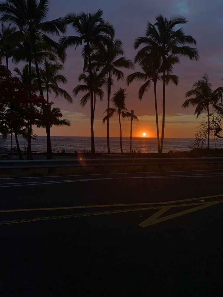 the sun is setting behind some palm trees