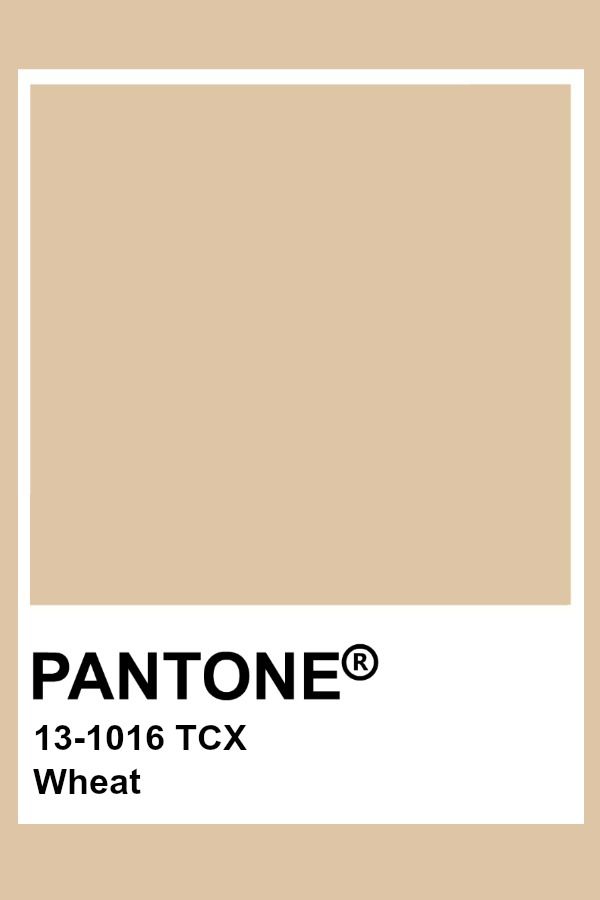 the pantonee color is shown in beige and has a white frame on it