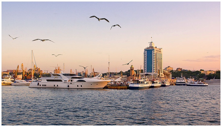 several boats in the water with birds flying over them and buildings on the other side