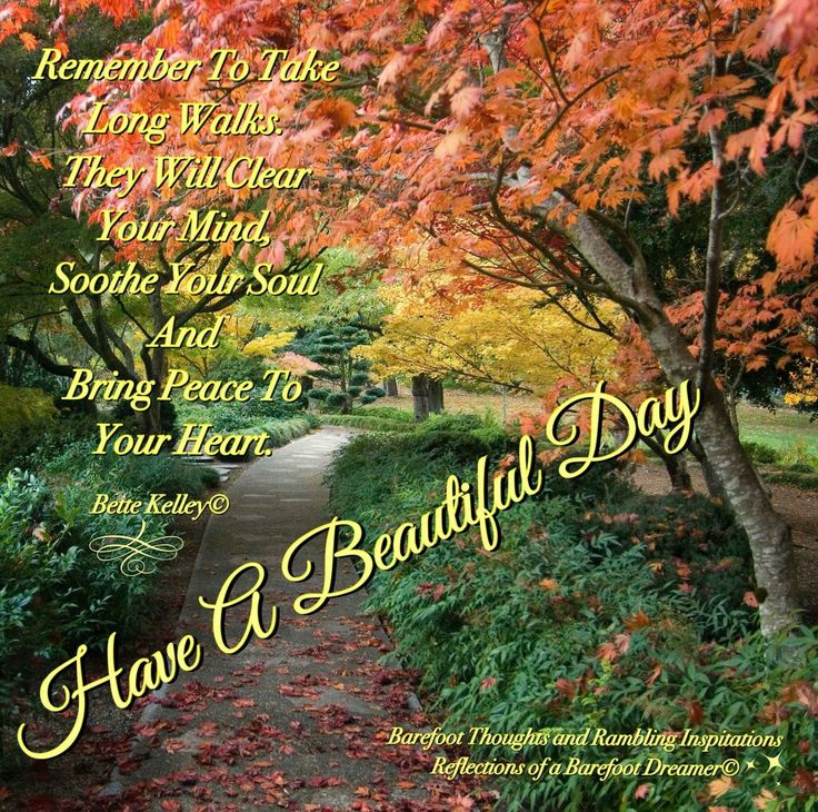 an autumn scene with the words have a beautiful day