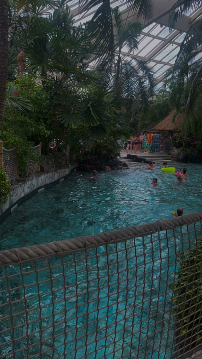 people are swimming in the water inside an indoor pool with palm trees on either side