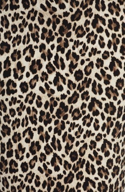 an animal print dress with brown spots on it's chest and neck, as well as