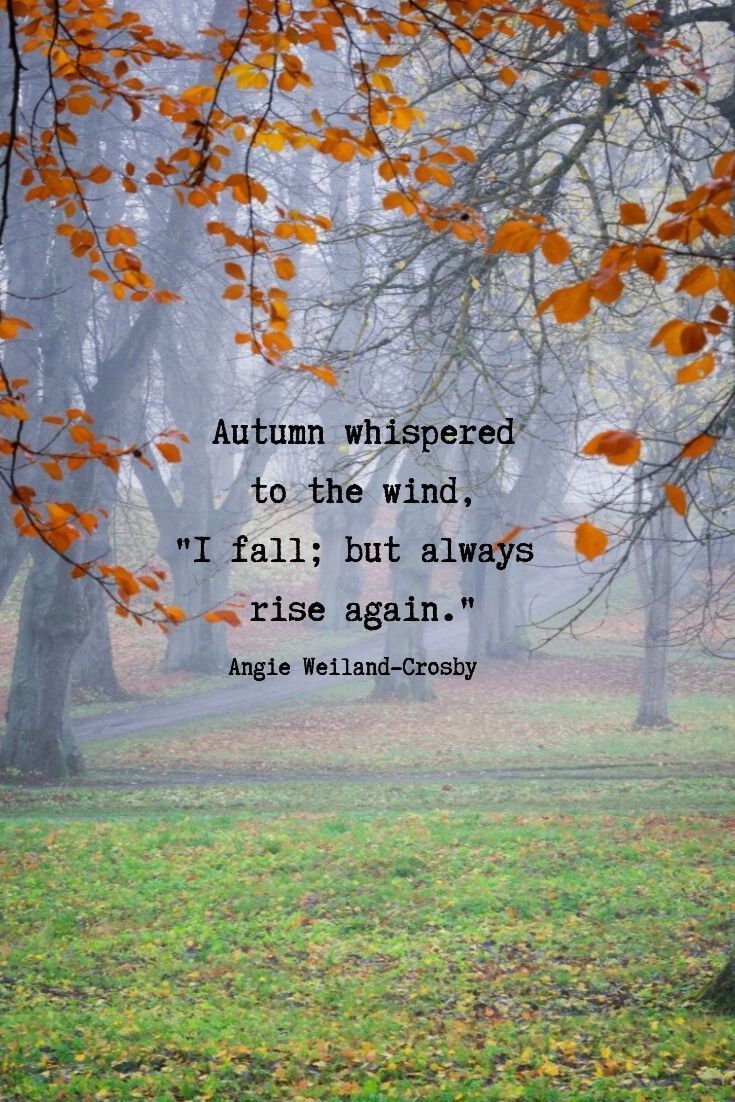 an autumn scene with the quote autumn whispers to the wind, if fall but always rise again