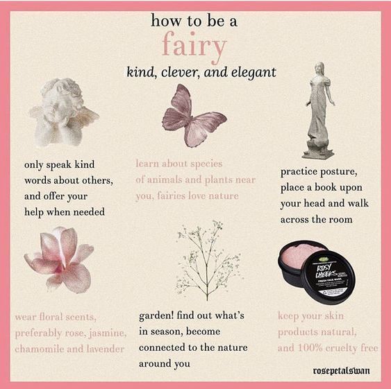 an info sheet describing how to be a fairy and other things that are in front of it