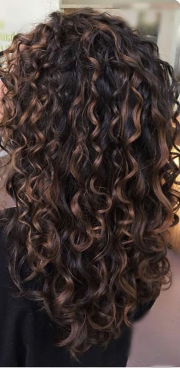 Dimensional Curly Hair Color, Fall Balayage Brunette Curly Hair, Hair Ideas For Natural Curly Hair, Pintura Highlights Curly Dark Brown Hair, Naturally Curly Chocolate Brown Hair, Dark Permed Hair, Lowlights For Curly Hair Dark Brown, Highlights For Black Curly Hair Indian, Curl Hair Dye Ideas