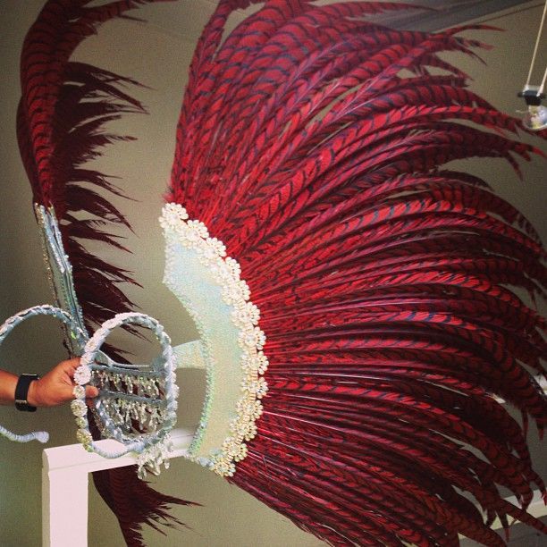 a red feather headdress is being held up by a person's hand