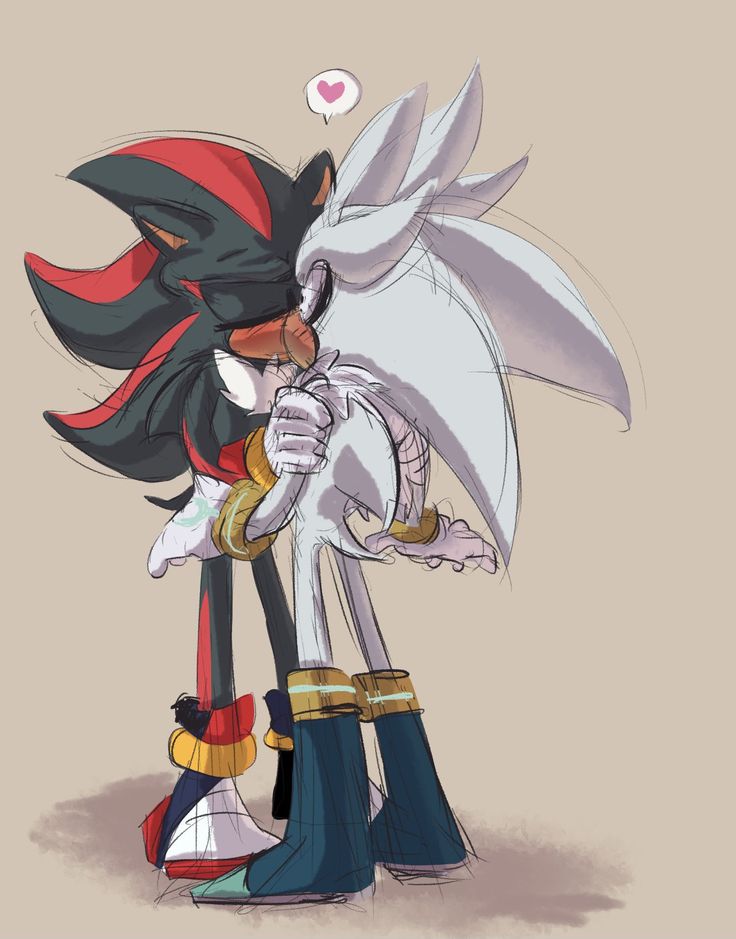 an image of sonic and shadow hugging each other