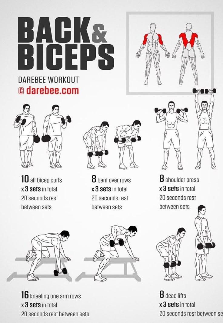 the back and biceps workout poster shows how to use dumbs for chest