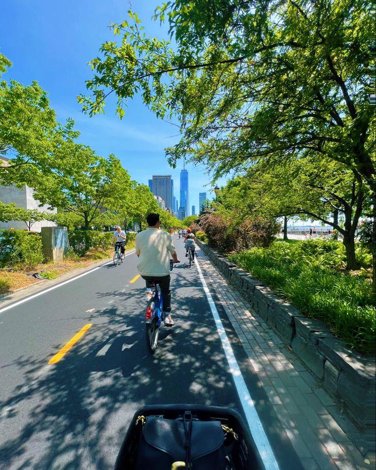 people riding bicycles down the street on a sunny day in front of tall buildings and trees