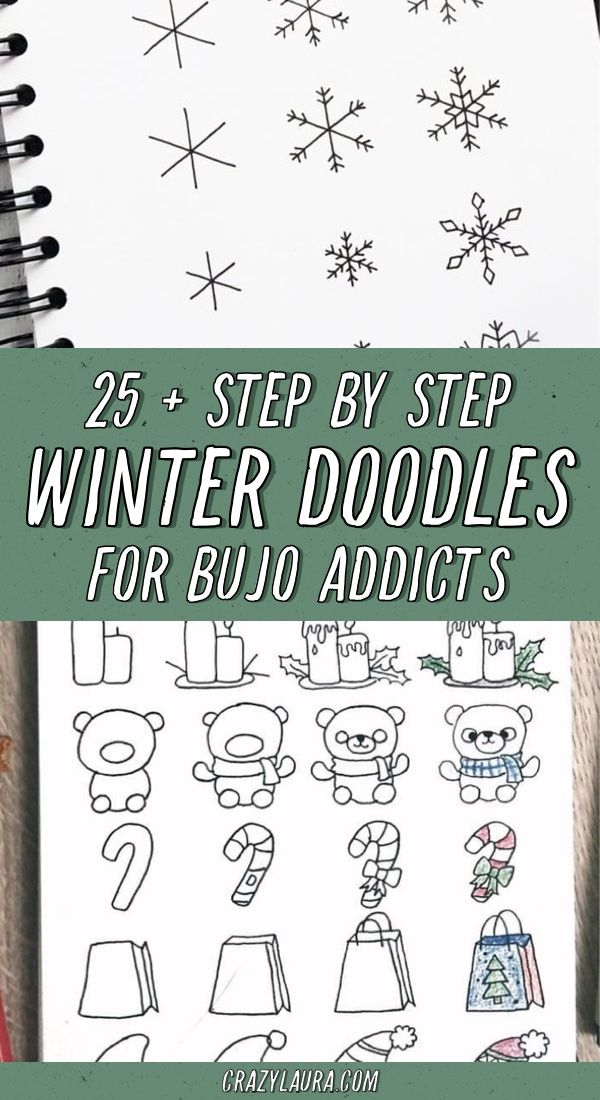 a notebook with the title, 25 step by step winter doodles for budo adults