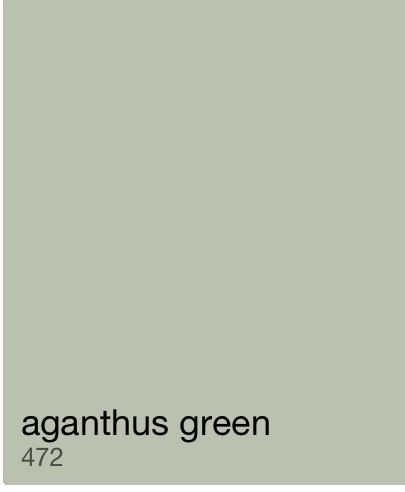 an image of a green wall with the words aganthus green on it