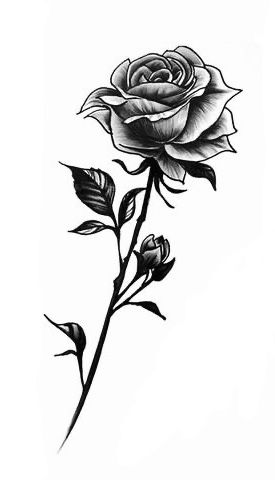 Single Rose Tattoos, Rose Drawing Tattoo, Rose Hand Tattoo, Rose Tattoos For Men, Rose Tattoos For Women, Small Rose Tattoo, Tattoo Shoulder, Black Rose Tattoos, Muster Tattoos