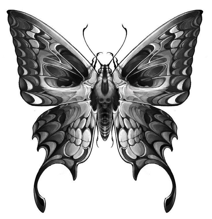 a black and white drawing of a butterfly