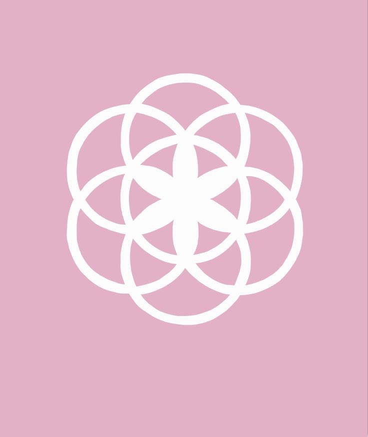 a white flower on a pink background