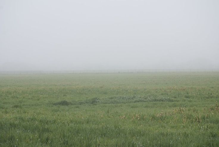 an open field with fog and grass in the foreground