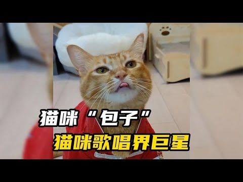 Cat Singing, Singing Cat, Lion Art, Lion, Singing, It Works, Share It, Friends Family, With Friends