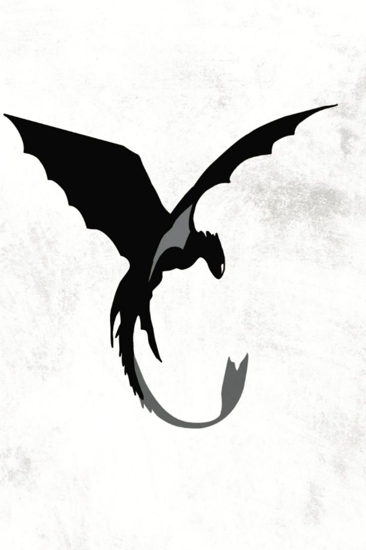 a black and white image of a flying dragon