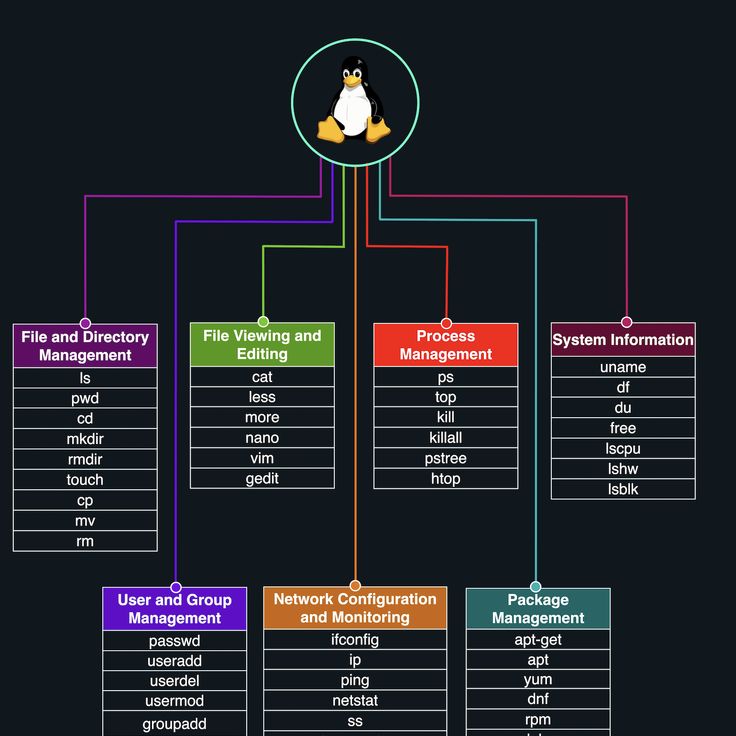 Linux Commands, File System, Process Management, Linux, Map