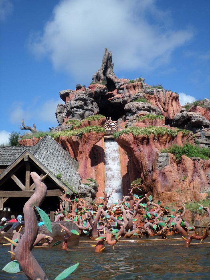 people are swimming in the water at disney's animal kingdom