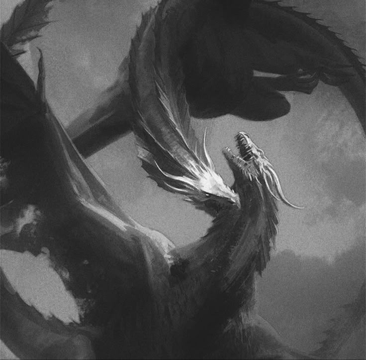 a black and white photo of a dragon with its wings spread out in the air