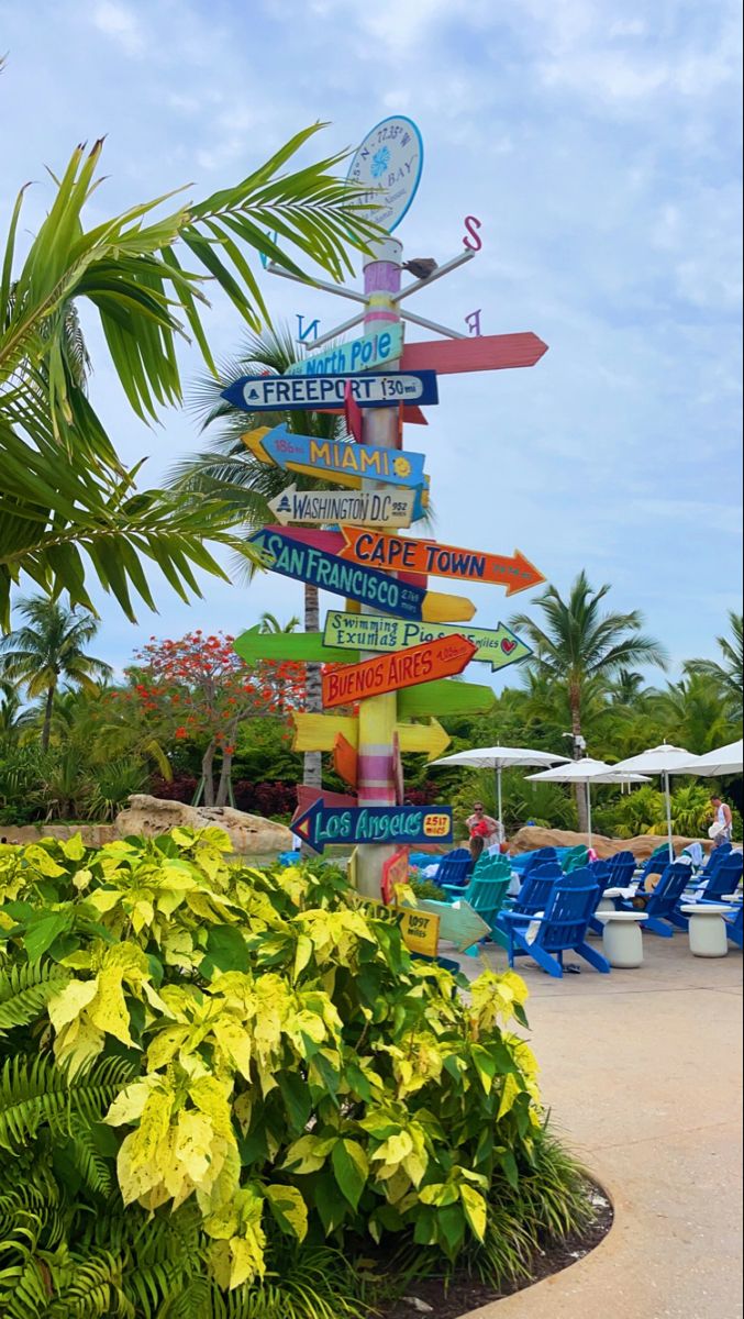 a sign post with many different signs on it in the middle of a tropical park