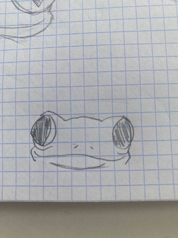 a drawing of a frog's eyes and nose