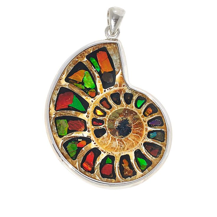 Canadian Ammolite Gems Sterling Silver Ammolite Shell Inlay Pendant This sterling silver pendant features a rare, Canadian ammolite shell sliced in half, inlaid with multicolor ammolite doublets and filled with resin. The result is a truly unique, rainbow-colored jewelry accessory that's sure to set you apart from the crowd! By Kenneth Bradley.        Pendant approx. 1-3/4"L x 1-1/4"W     Stamped .925     Rhodium plating     Articulated bail   Stone Information       All sizes and weights approx Colored Jewelry, Sterling Silver Pendant, Rhodium Plated, Sterling Silver Pendants, Pendant Jewelry, Silver Pendant, Jewelry Accessories, Shells, Gems