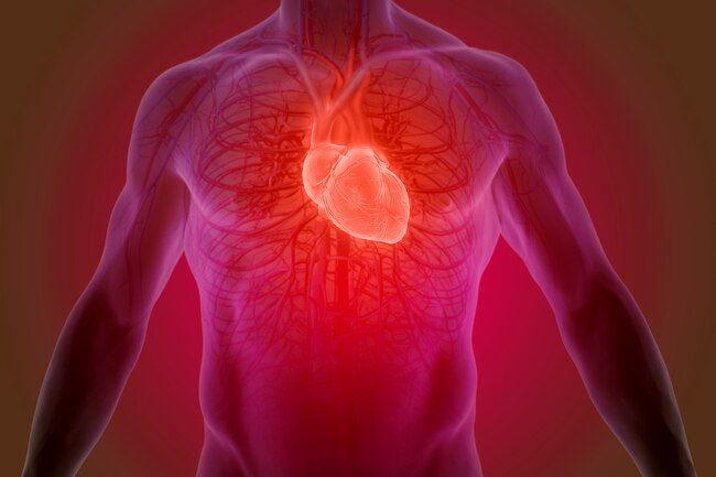 What Happens to Your Body When You Quit Smoking, in Pictures Acute Coronary Syndrome, Angina Pectoris, Heart Valves, Open Heart Surgery, Heart Pump, Heart Muscle, Coronary Arteries, Health Tools, Heart Surgery