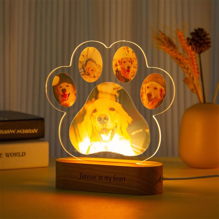 a dog's paw shaped light up with four pictures on the front and back