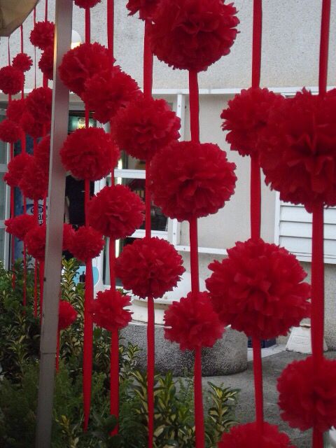 red flowers are hanging from the side of a building