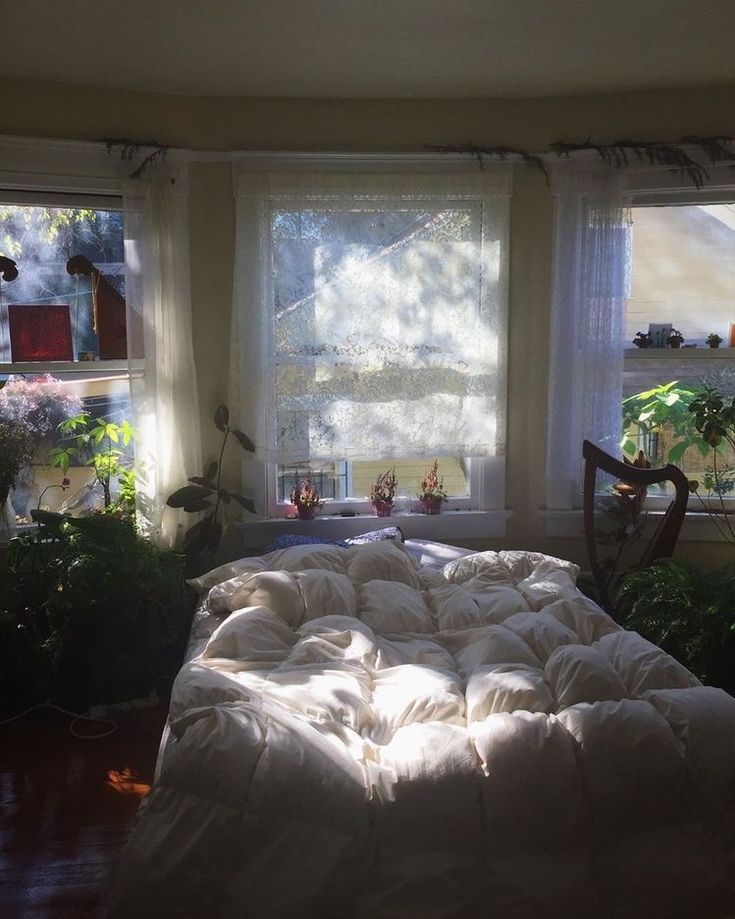 an unmade bed sitting in front of two windows with plants on the other side