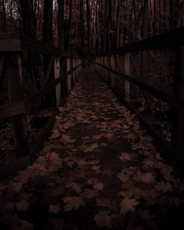 a wooden bridge in the woods with leaves on the ground and trees all around it