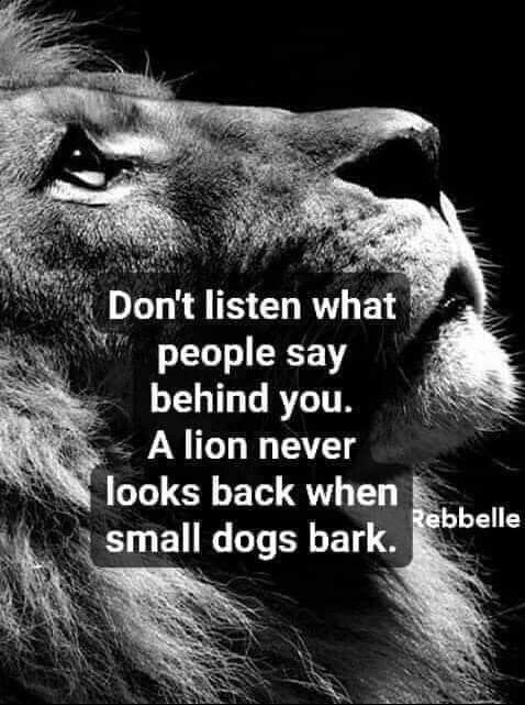 a black and white photo with a lion's face in the center, saying don't listen what people say behind you