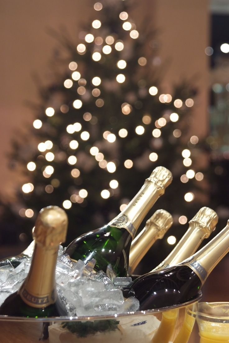 champagne bottles and glasses in front of a christmas tree