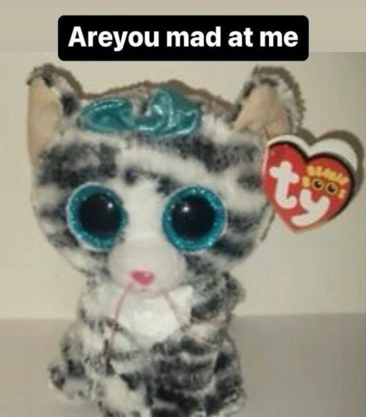 a stuffed cat with big blue eyes sitting on a table next to a tag that says, are you mad at me?