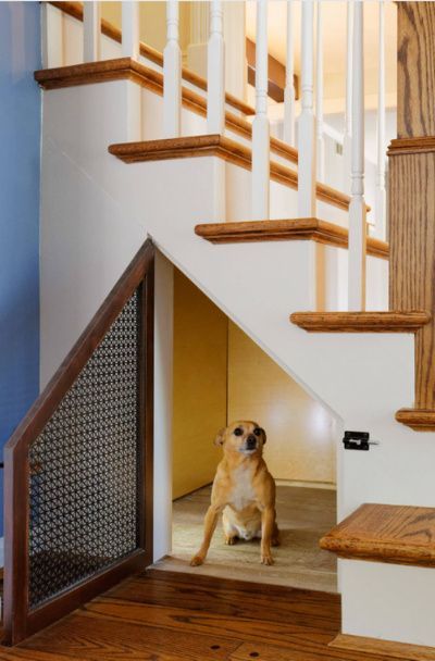 a dog is sitting on the floor in front of an open door at the bottom of stairs