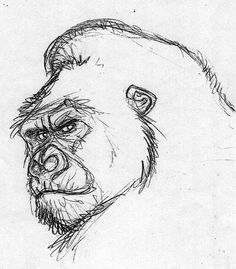 a drawing of a gorilla's head with its mouth open and one eye closed