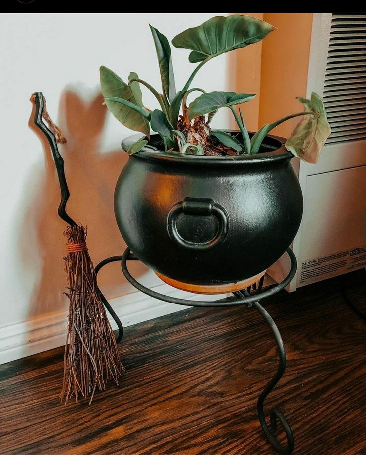 a potted plant sitting on top of a metal stand