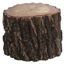 a tree stump that has been cut in half and is sitting on a white background