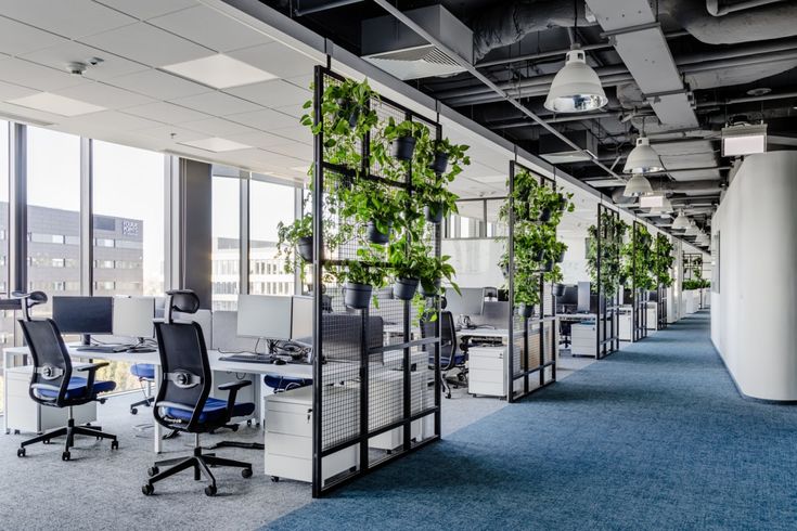 an office with plants growing in the windows